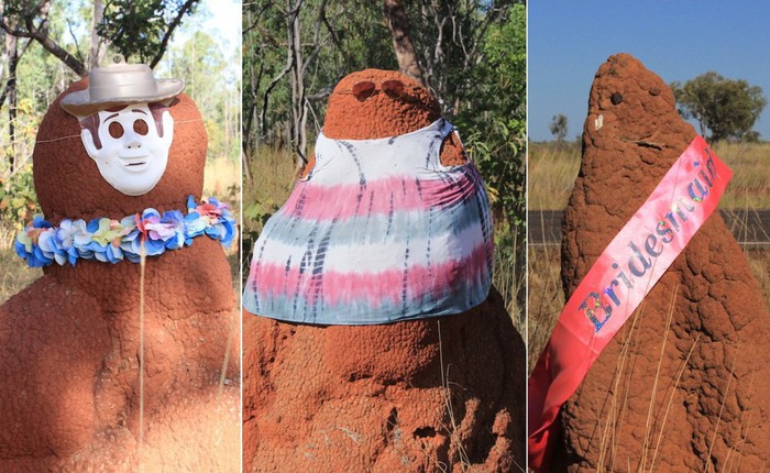 Người Úc đang thi nhau mặc quần áo cho tổ mối để gây cười