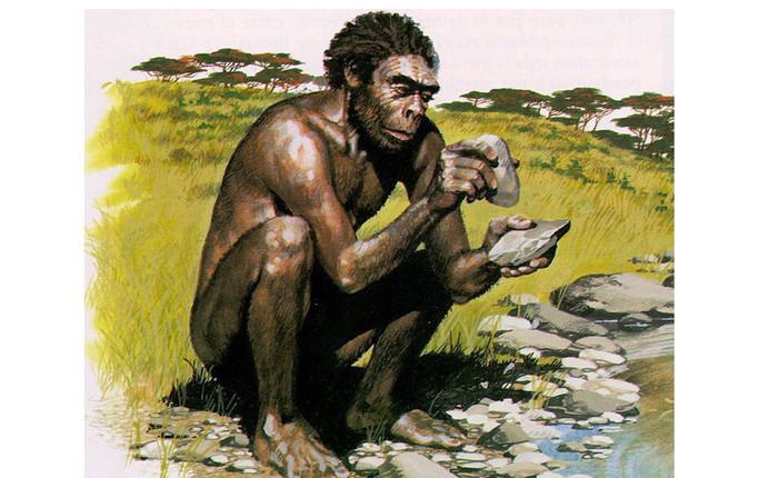 Dù sống lâu hơn cả người hiện tại, loài người cổ đại Homo erectus vẫn tuyệt chủng chỉ vì quá ... lười