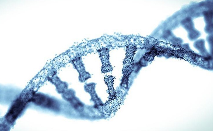 Các nhà khoa học phát hiện 52 "gen thông minh" quyết định 5% trí tuệ của bạn