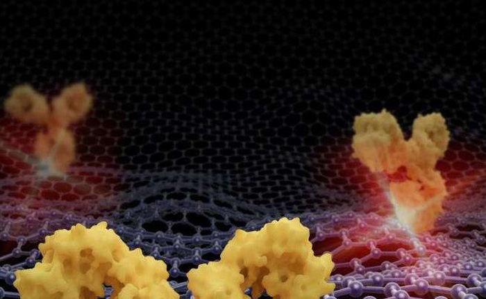 Thử nghiệm thuốc và theo dõi tế bào ung thư di căn nhờ graphene với hạt nano vàng