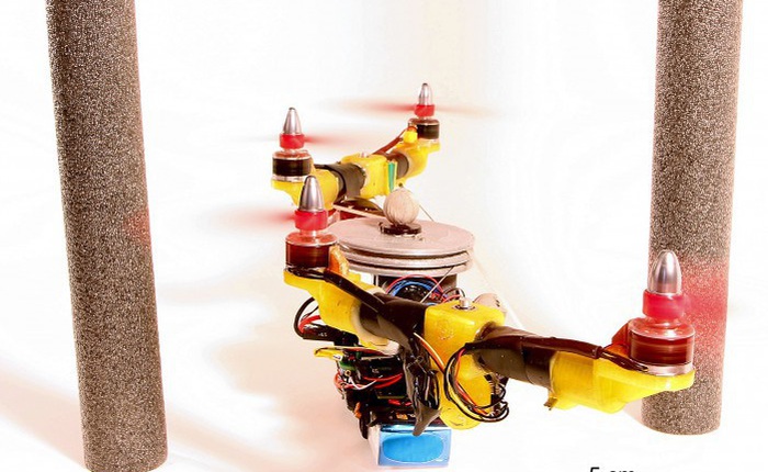Nghiên cứu thành công robot có thể gập cánh khi bay qua không gian hẹp lấy ý tưởng từ đôi cánh của loài chim