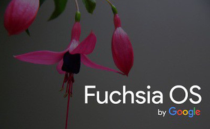 Từ A-Z về hệ điều hành Fuchsia của Google
