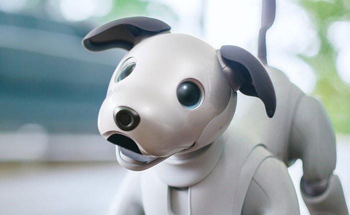 [CES 2018] Ảnh và video thực tế chó robot Aibo thế hệ 2, dự kiến bán ra trên toàn cầu
