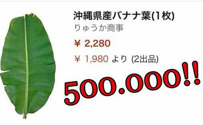 Lá chuối tươi đăng bán trên Amazon gần 500 nghìn 1 lá, mua 5 lá giảm giá còn 1 triệu 2