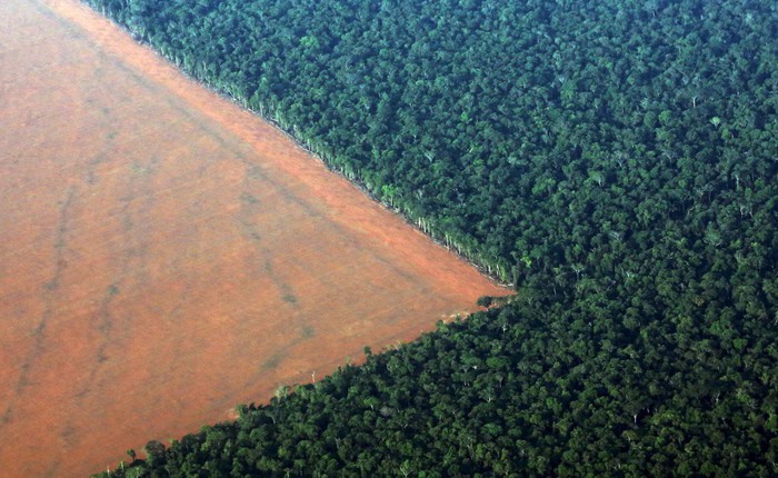 24 bức ảnh cho thấy rừng Amazon từ lá phổi xanh của thế giới đã trở thành chứng tích cho sự tàn phá của con người