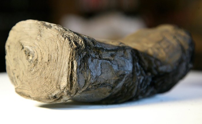 Đi tìm bí ẩn bên trong cuộn giấy cổ bị núi lửa thiêu đốt thành than cách đây 2000 năm