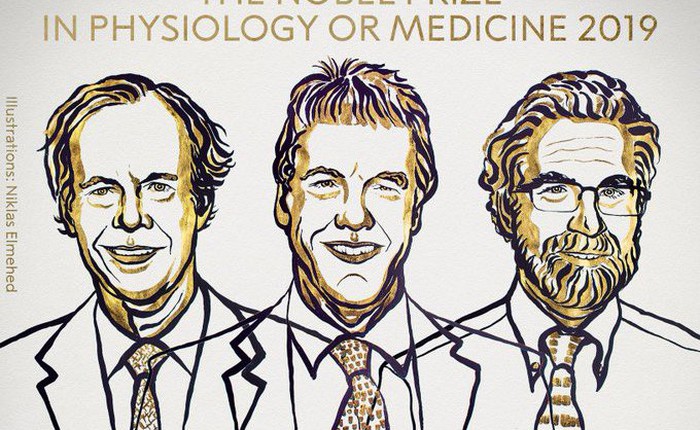 Giải Nobel đầu tiên năm 2019 vừa có chủ nhân: Vinh danh ba nhà khoa học phát hiện ra cơ chế thích nghi oxy của tế bào