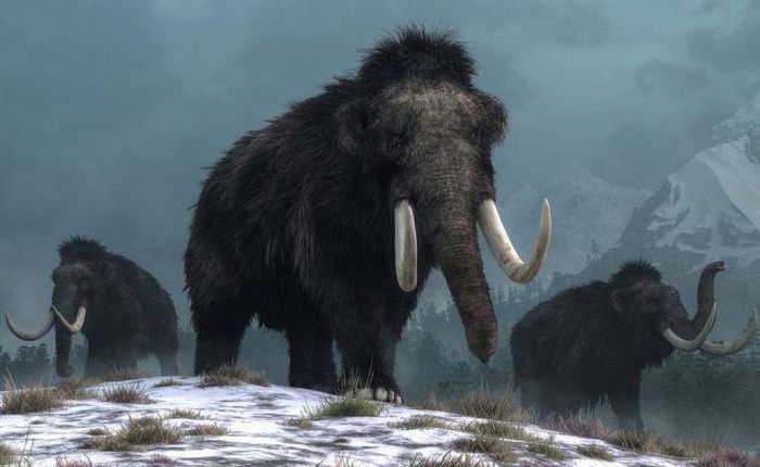 Phát hiện bất ngờ về hố bẫy voi ma mút đầu tiên trong lịch sử loài người
