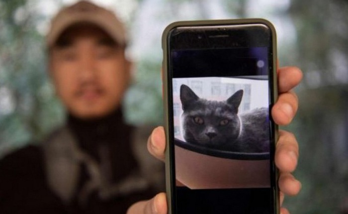 Ở Trung Quốc có một ngành nghề rất đặc biệt: Thám tử chuyên truy tìm thú cưng bị thất lạc