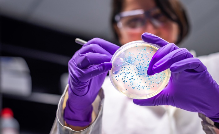 Các nhà khoa học tạo ra một chủng vi khuẩn E. coli có thể ăn khí CO2 để sống