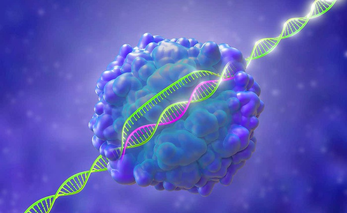Lần đầu tiên, ba bệnh nhân ung thư ở Mỹ được điều trị bằng kỹ thuật chỉnh sửa gen CRISPR