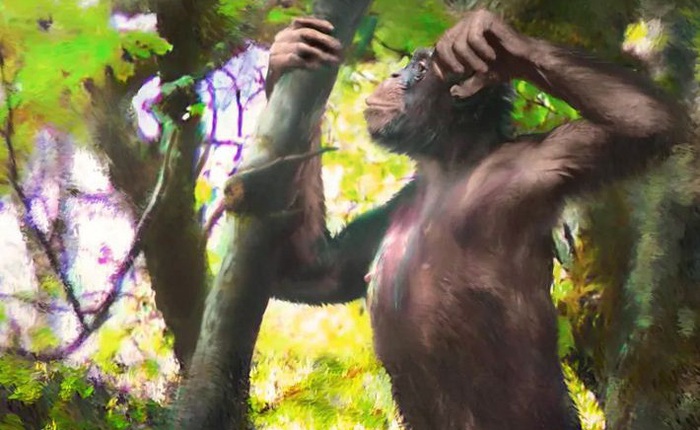 Phát hiện hài cốt sinh vật lạ có chân người và cánh tay vượn, được cho là tổ tiên loài người cách đây 12 triệu năm