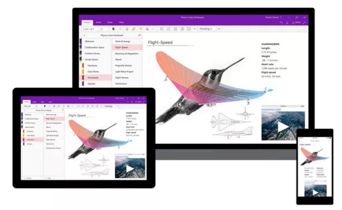 Microsoft sẽ ưu tiên phát triển OneNote cho desktop, tích hợp To Do và Fluid vào năm sau