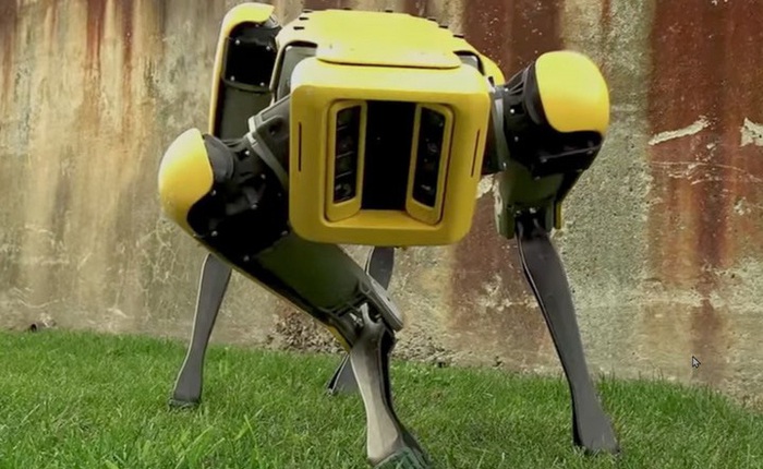 Chó robot của Boston Dynamics lần đầu tham gia vào biệt đội phá bom của cảnh sát Mỹ