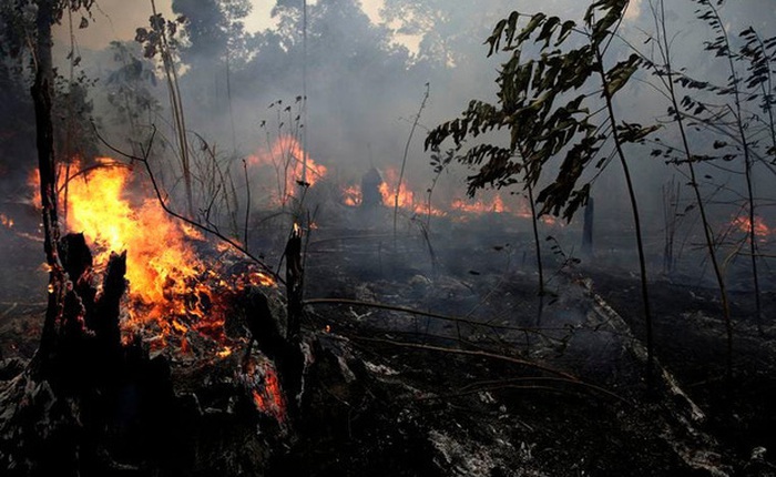 Cháy rừng kỷ lục ở Amazon đã thể hiện hậu quả: Dãy núi dài nhất thế giới hiện đang tan chảy với tốc độ cực nhanh