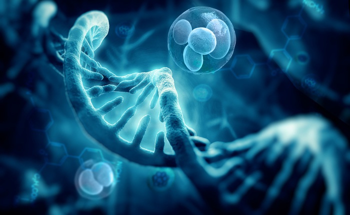 Tuổi thọ của các loài động vật được định sẵn trong DNA, và loài người chỉ thọ 38 năm mà thôi