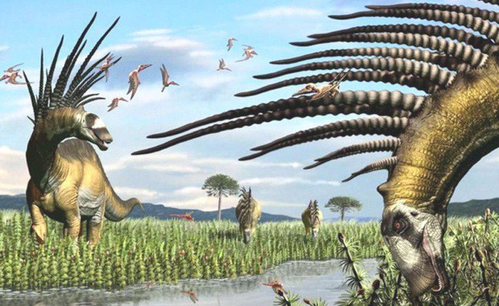 Phát hiện loài khủng long sở hữu "bộ gai" trên lưng, trông hệt như kiểu tóc Mohican của dân chơi nhưng hóa ra lại là vũ khí tự vệ