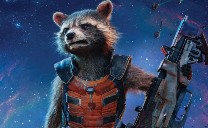 Gấu mèo Oreo, hình mẫu của nhân vật Rocket trong Guardians of the Galaxy vừa bị chết