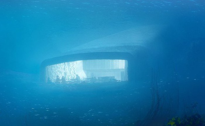 Bên trong nhà hàng dưới nước lớn nhất thế giới, nơi thực khách ngắm sinh vật biển đang bơi trong khi thưởng thức hải sản
