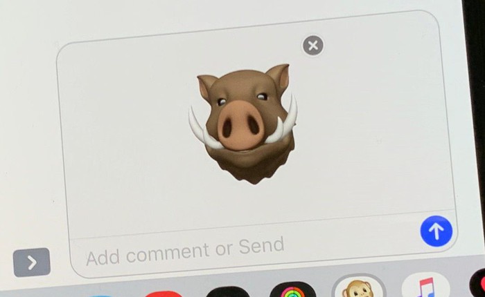Apple bổ sung 4 Animoji mới trên iOS 12.2 Beta 2: Hươu cao cổ, cá mập, cú và lợn rừng