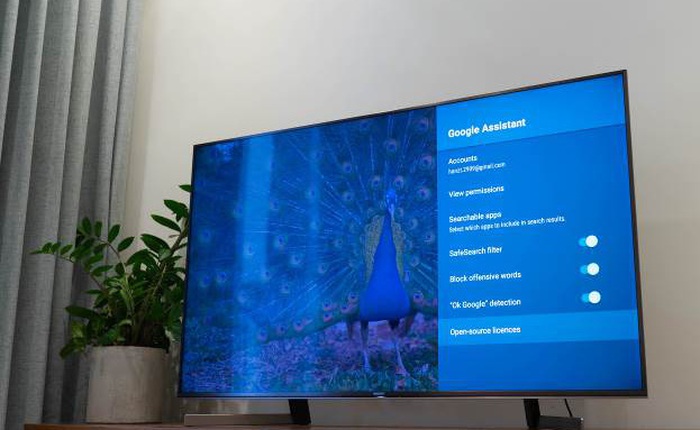 Tư vấn mua TV xem bóng đá: Vì sao nên chọn Sony BRAVIA từ 55inch trở lên?