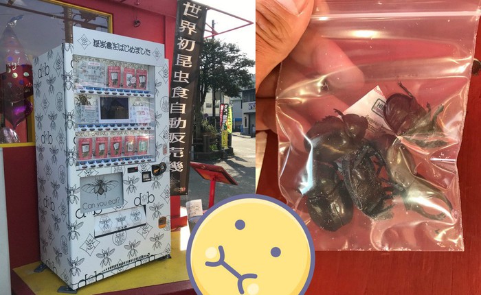 Ăn thử bọ lực sĩ rang muối trong máy bán côn trùng ở Nhật và cái kết sạn mồm