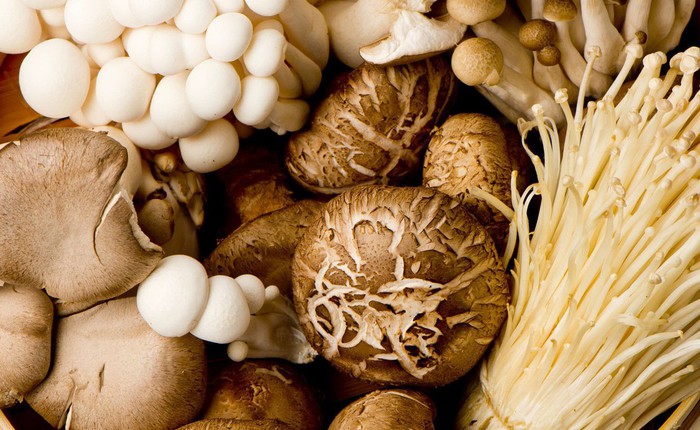 Nghiên cứu mới: Ăn nhiều nấm để phòng chống thoái hóa thần kinh khi về già