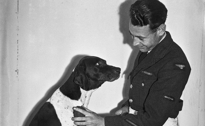 Những người lính bốn chân: cô chó Judy, tù binh chiến tranh đặc biệt của Thế Chiến thứ Hai