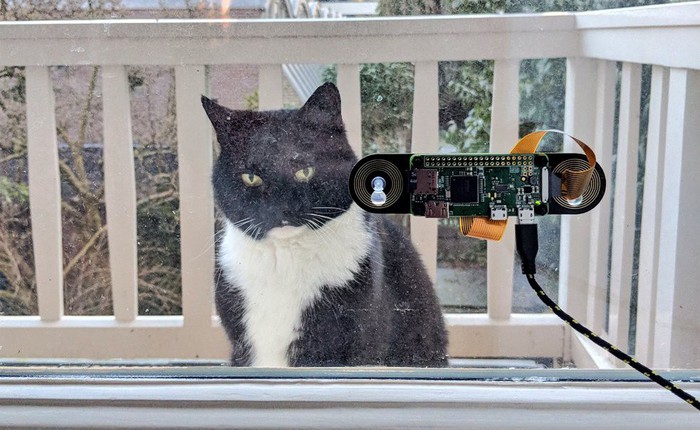 Kỹ sư chế tạo hệ thống nhận diện mặt mèo bằng Raspberry Pi, giá chỉ hơn 1 triệu đồng