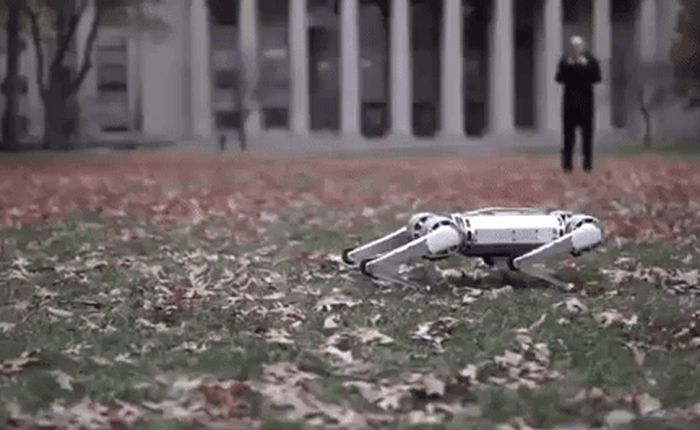 MIT giới thiệu robot 4 chân đầu tiên trên thế giới có thể nhảy lộn ngược và còn dễ thương như cún con