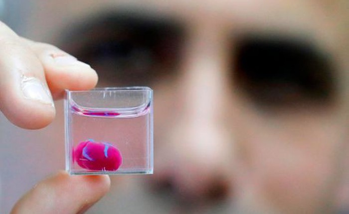 Đột phá: Các nhà khoa học Israel vừa tạo ra quả tim in 3D đầu tiên từ tế bào người