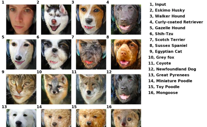 Công cụ AI tương tự deepfake của Nvidia giúp bạn hóa thành chó, mèo và nhiều con khác nữa