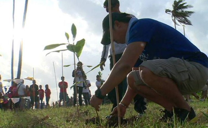 Philippines: Học sinh, sinh viên phải trồng 10 cây xanh mới được tốt nghiệp