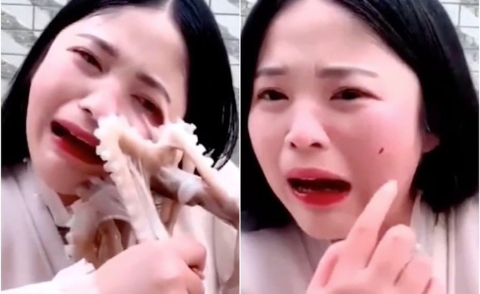 Livestream ăn bạch tuộc tươi sống, vlogger Trung Quốc bị sinh vật này tấn công rách cả da mặt