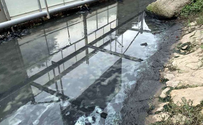Sông Tô Lịch nước trong, nhìn rõ đáy bùn đang phân hủy nhờ công nghệ Nhật