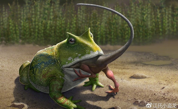 Beelzebufo - Loài ếch quỷ khổng lồ có thể nuốt chửng cả khủng long