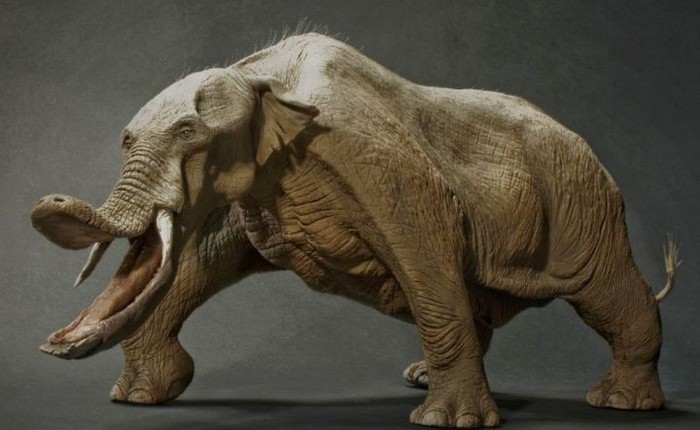 Có thể bạn chưa biết, tổ tiên của voi và tê giác cổ đại có vẻ ngoài "quái dị" hơn ngày nay nhiều!