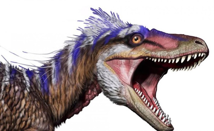 Bất ngờ phát hiện tổ tiên của khủng long bạo chúa chỉ có kích thước nhỉnh hơn một con chó