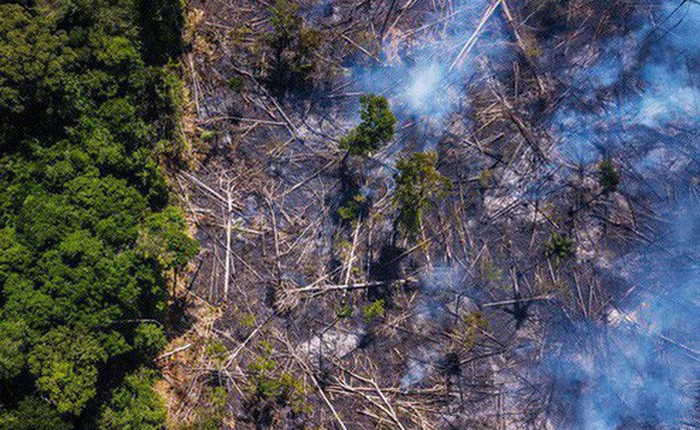 Thợ mỏ trái phép, nông dân và các nhóm khai thác tài nguyên của Brazil: Những thế lực đang âm thầm phá hủy lá phổi xanh Amazon
