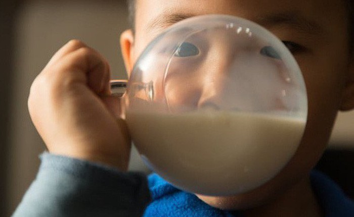 Cơn cuồng sữa của Trung Quốc đang hủy diệt thế giới như thế nào?