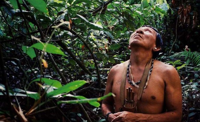 Tù trưởng bản địa gần rừng Amazon và thông điệp cay đắng: "Rồi các anh sẽ chìm trong sợ hãi, như cảm giác chúng tôi đang trải qua lúc này"