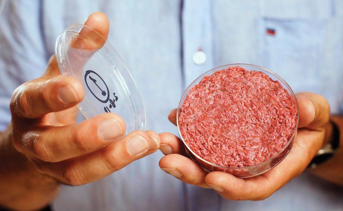 Sản xuất thịt mà không cần sát sinh: Khoa học đã thực hiện được thành công điều không tưởng này