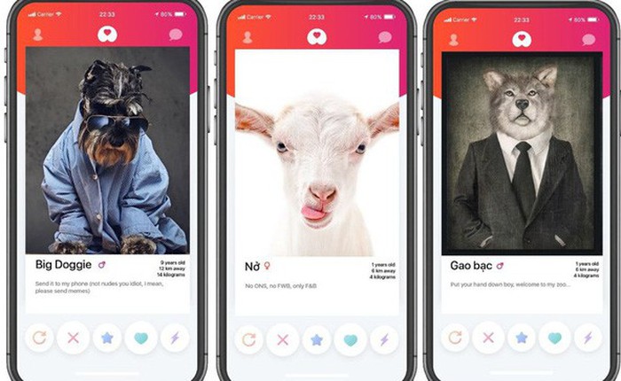 Get Bone - ứng dụng hẹn hò dành cho thú cưng đầu tiên tại Việt Nam lấy cảm hứng từ Tinder: Ý tưởng đột phá sáng tạo hay ‘ăn no rửng mỡ’?