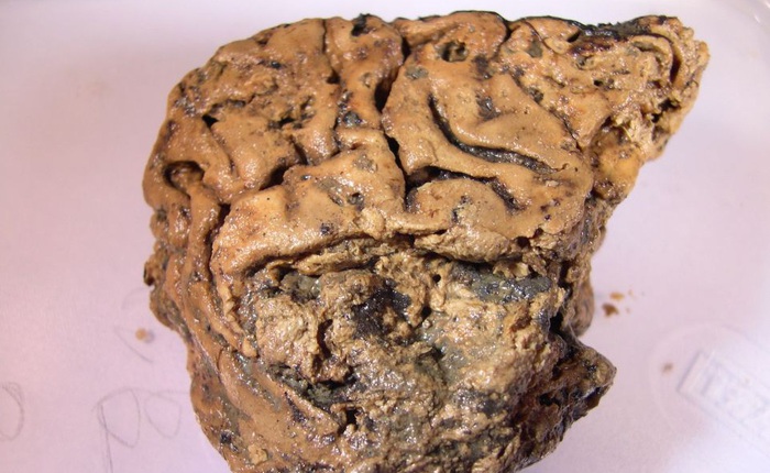 Bí ẩn mảnh não 2.700 năm tuổi, vẫn nguyên vẹn dù cho không hề được tẩm ướp