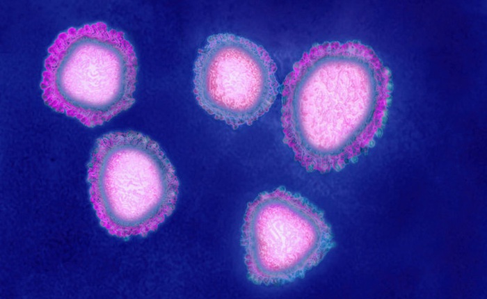 Đây là 8 điều quan trọng bạn cần biết về virus Vũ Hán: Nó lây nhiễm thế nào, phòng chống ra sao?