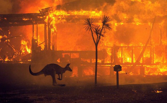Giải thích nhanh về đại thảm họa cháy rừng đang diễn ra tại Úc nếu bạn lười theo dõi