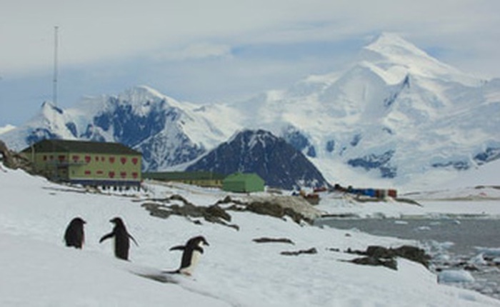 Nam Cực xuất hiện ca nhiễm Covid-19: "Thành trì" cuối cùng trên thế giới chưa bị đại dịch tấn công đã sụp đổ