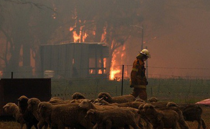 Cháy rừng ở Úc: Điều tồi tệ nhất chưa đến!