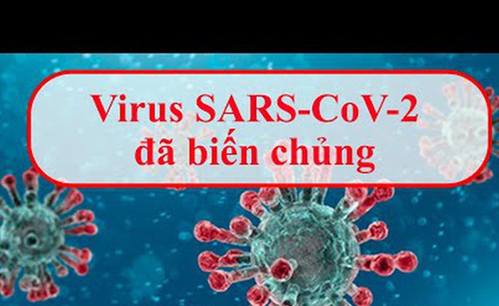 Biến chủng của virus Sars-Cov-2 ở Đà Nẵng có bất thường không?