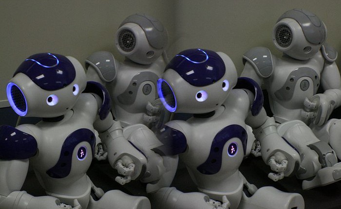 Robot của FPT được phát triển từ robot NAO của Pháp